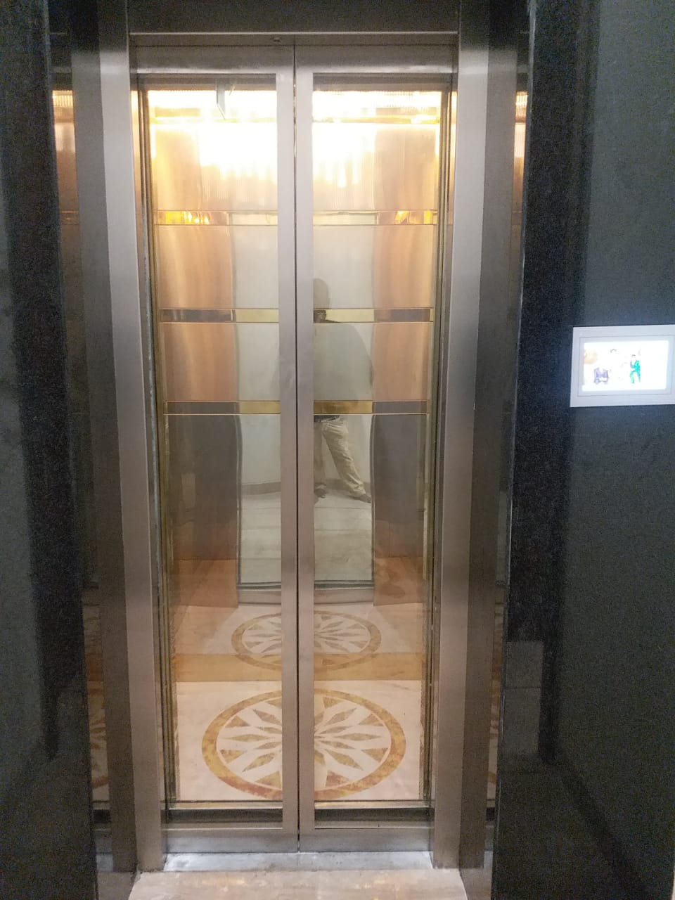 Designer Glass Elevator Door